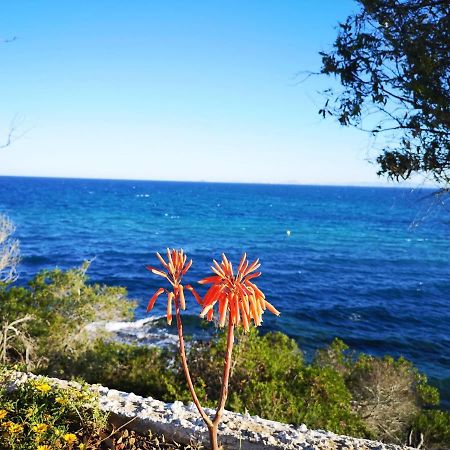 Villa La Zenia 25 Плая Фламенка Екстериор снимка