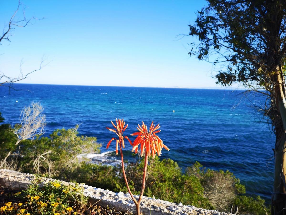 Villa La Zenia 25 Плая Фламенка Екстериор снимка